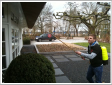 Spinnenbestrijding met Ar-La Services